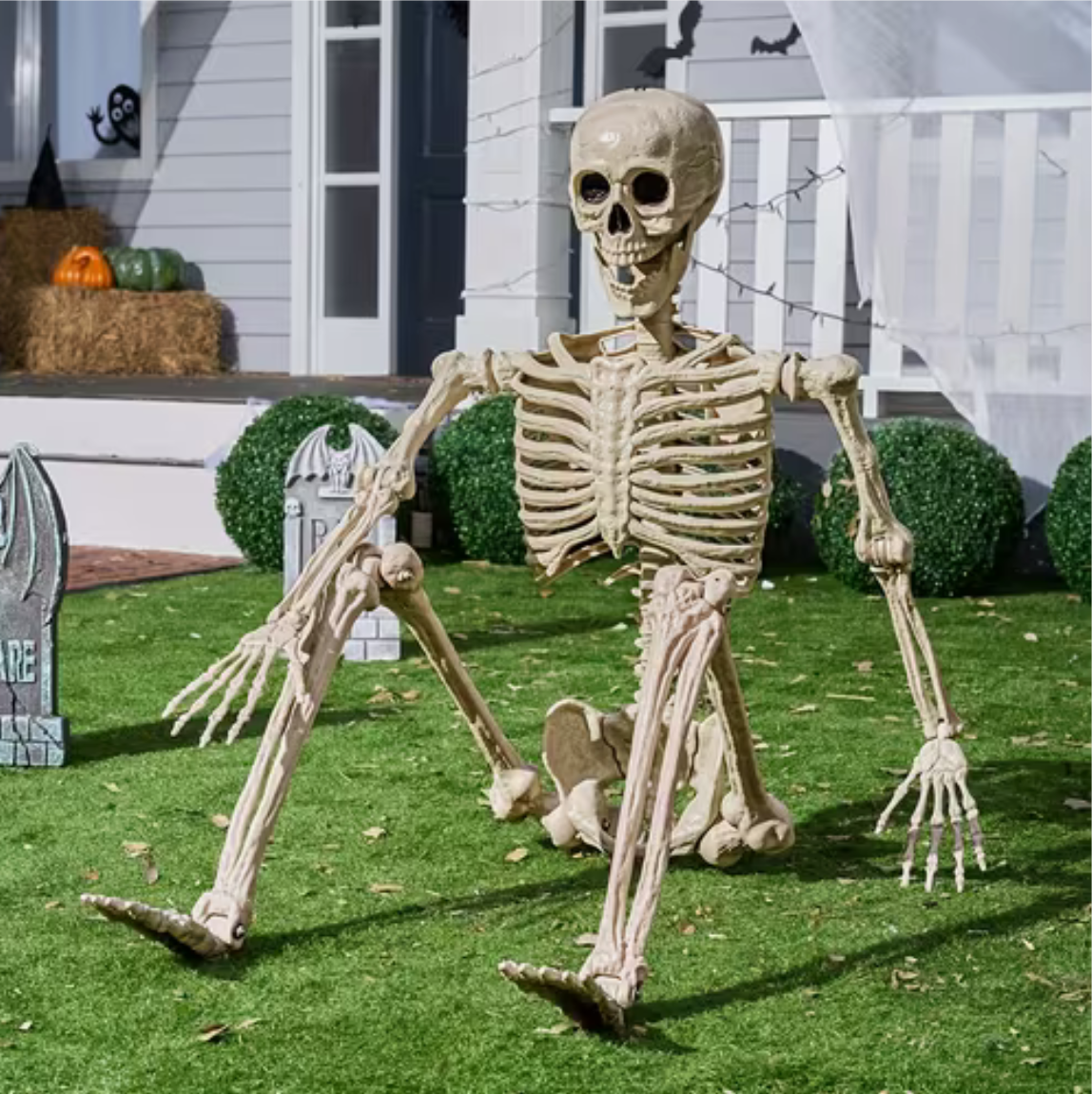 5.6ft Halloween Posable Life-Size Skeleton with Movable Joints
