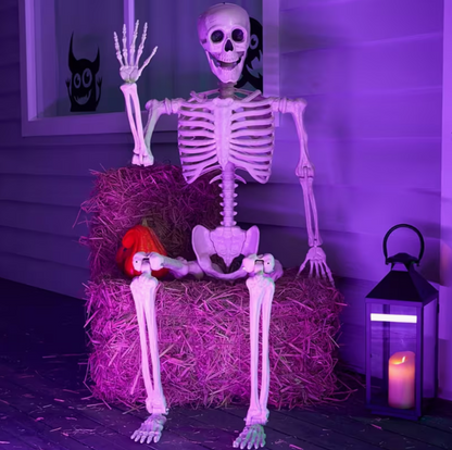5.6ft Halloween Posable Life-Size Skeleton with Movable Joints