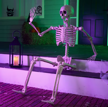 5.6ft Halloween Posable Life-Size Skeleton with Movable Joints
