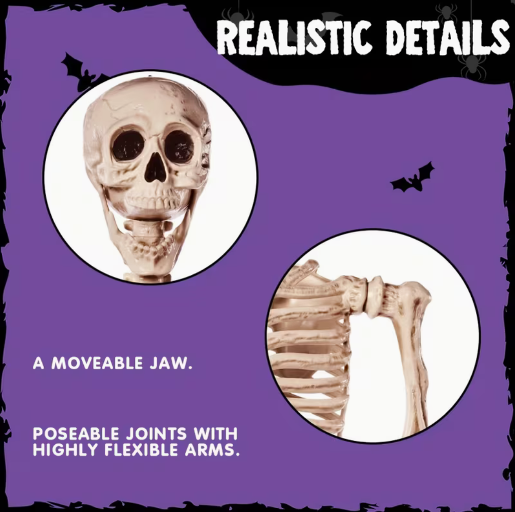 5.6ft Halloween Posable Life-Size Skeleton with Movable Joints