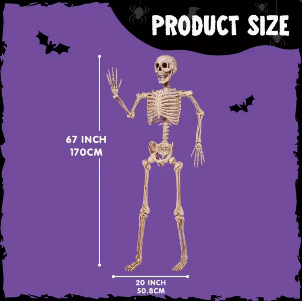 5.6ft Halloween Posable Life-Size Skeleton with Movable Joints