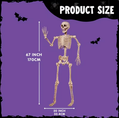 5.6ft Halloween Posable Life-Size Skeleton with Movable Joints