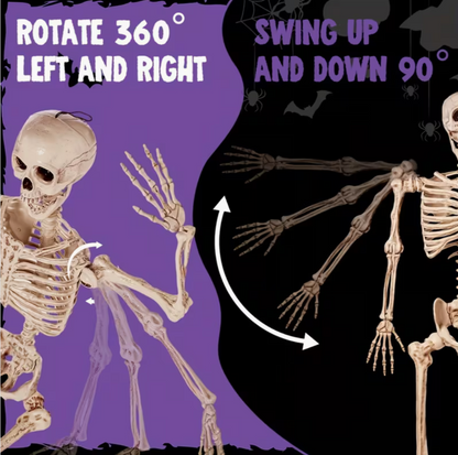 5.6ft Halloween Posable Life-Size Skeleton with Movable Joints
