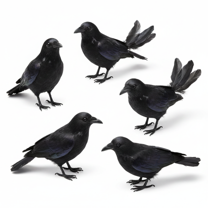 Black Crow Decoration Product Shot